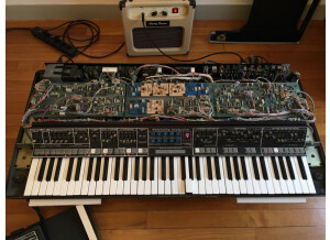 Moog Music Polymoog Synthesizer (203A) (33425)