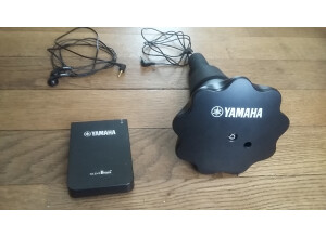 Yamaha SB5x