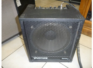Polytone Mini Brute II (17553)
