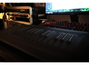 ROLI Seaboard Rise 25 (555)