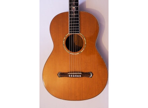 Cort Earth 900 (62625)