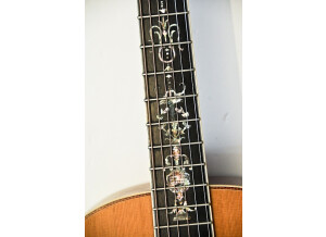 Cort Earth 900 (45202)