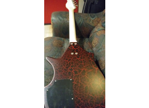 Danelectro Coral Sitar