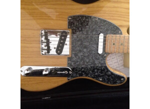 Fender Special Edition Lite Ash Telecaster (29184)