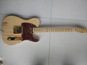 Dreamsongs Pickups T-Modern Tele Neck and Bridge