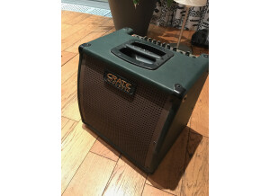 Crate CA30DG (99560)