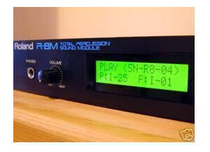 Roland R-8M (93239)