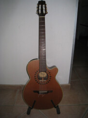 Takamine NP65C