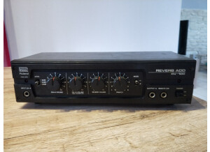 Roland RV 100 (21212)