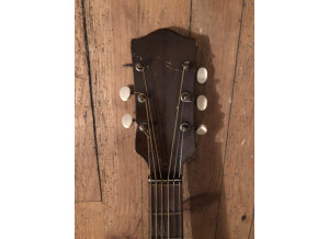 Hofner Guitars Model 450