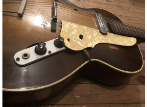 Hofner Guitars Model 450