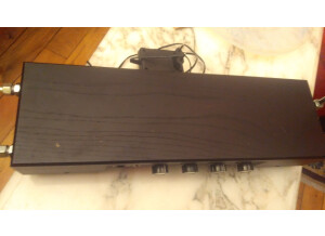 Moog Music Etherwave Theremin Standard (22081)