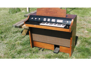 Hammond Chord Organ Everett Series Model 2022