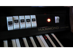 Hammond Chord Organ Everett Series Model 2022