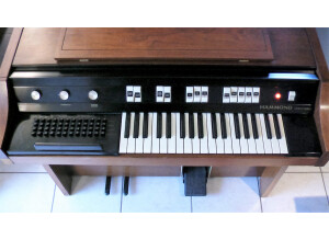 Hammond Chord Organ Everett Series Model 2022 