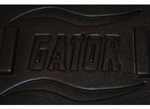 Gator Cases GR-10L (97965)
