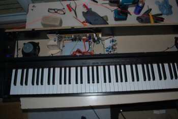 Photo 1.JPG Photo 1.JPG