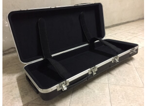 Gator Cases GK-261R