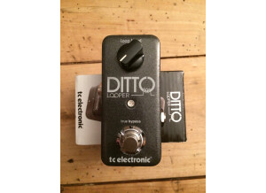 TC Electronic Ditto Looper (91379)