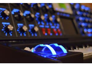 Moog Music Minimoog Voyager Electric Blue (49135)