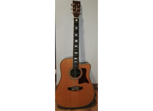 Tanglewood TW1000 H SRC E (16720)