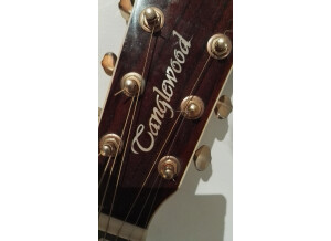 Tanglewood TW1000 H SRC E (81717)