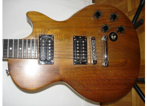 Gibson The Paul (31553)
