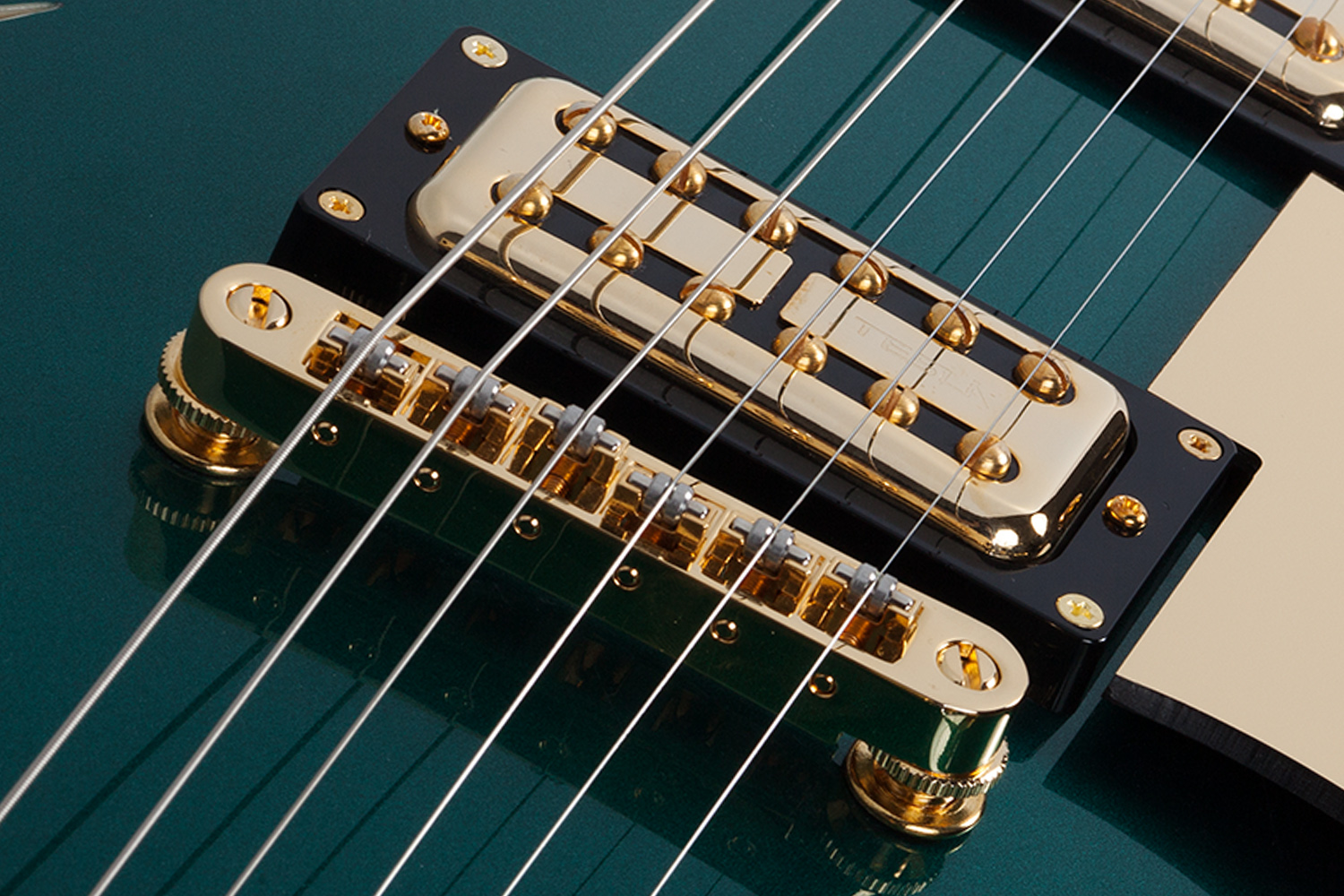Schecter Coupe : COUPE GREEN BRIDGE UPSHOT