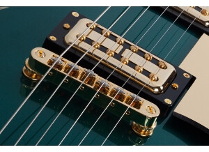 Schecter Coupe