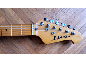 Live Stratocaster (75366)