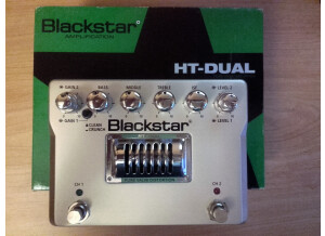 Blackstar Amplification HT-Dual (29698)