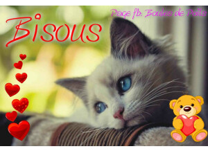 bisous 019