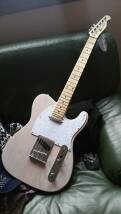 Harley Benton TE-30