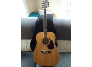 Cort Earth 100SE (90964)