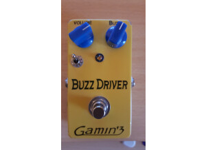 Gamin'3 Buzz Driver