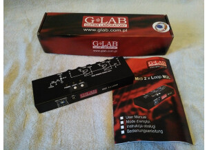 G-Lab AUX 2xLOOP (80550)