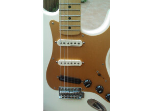 Fender Stratocaster Tex-Mex (21898)