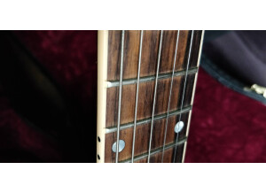 Gibson ES-339 30/60 Slender Neck - Light Caramel Burst (78693)