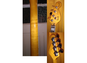 Fender Modern Player Coronado Bass (57953)