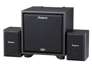 Roland CM-110 (83941)