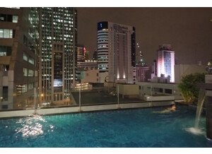 Dave Smith Instruments Prophet REV2 16 voix (35495)