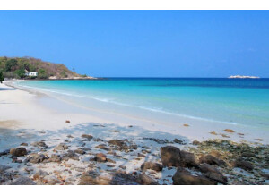 Dave Smith Instruments Prophet REV2 16 voix (46859)