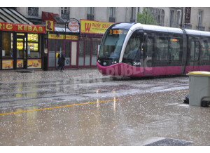 Dave Smith Instruments Prophet REV2 16 voix (70628)