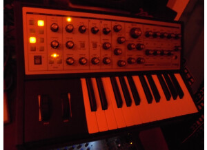 Dave Smith Instruments Prophet REV2 16 voix (21442)