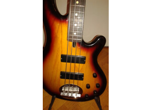 Sandberg (Bass) California TM 5 (74836)