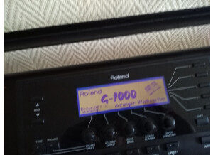 Roland G-1000 (48463)