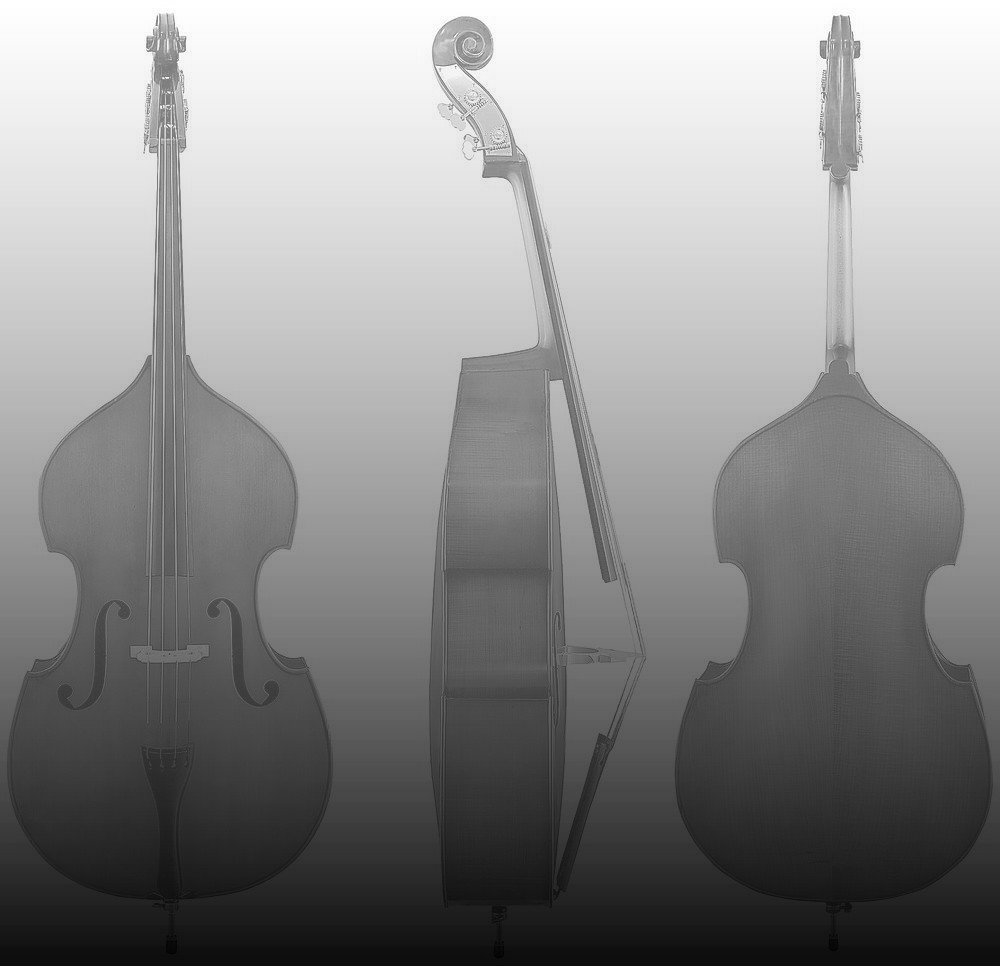 Gewa Contrebasse d'étude 3/4