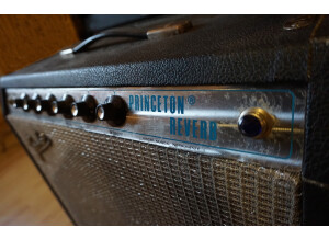 Fender Princeton Reverb "Silverface" [1968-1981] (59488)