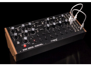 DFAM angle WEB