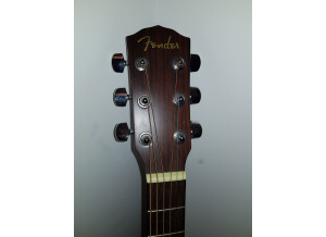 Fender DG-10 (60982)